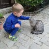 https://cdn-ostrovok-ru-ion.test.edgekey.net/t/100x100/ostrovok/fe/91/fe916159e6e86e2aecade1190d48e1e471c0411c.jpeg