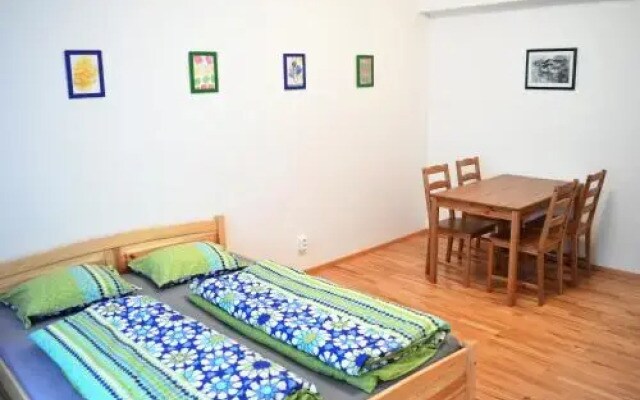 Apartment Žižkov