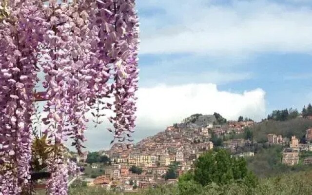Casa Vacanze Maria Grazia