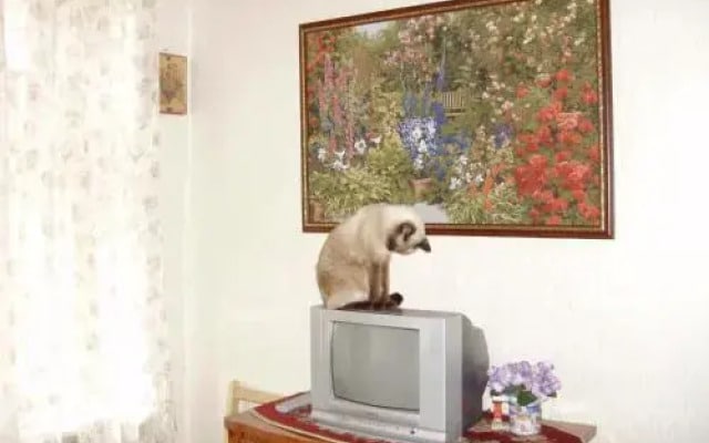 Милый Дом у Петропавловки 