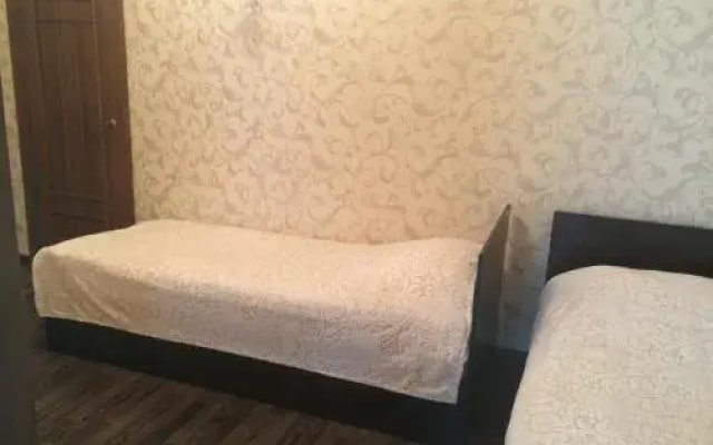 Apartment Turgeneva 236/1