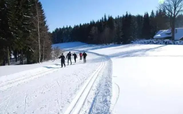 Penzion Arnika