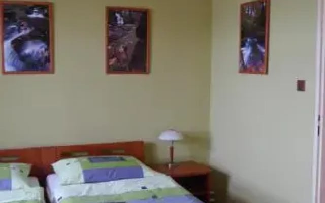 Penzion Polanka nad Odrou