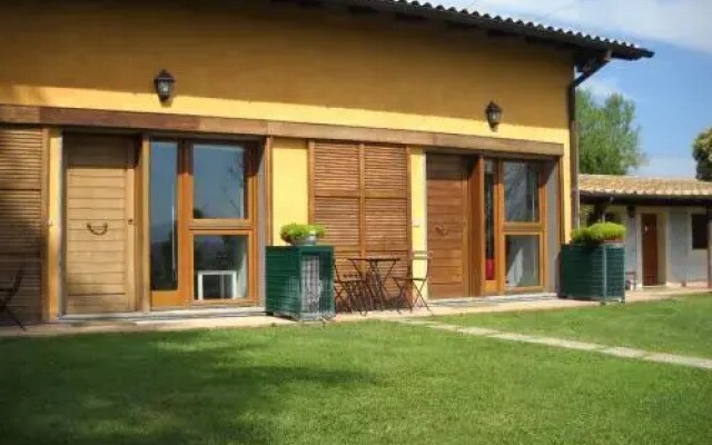 Tiberina 381