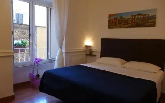 amico bed