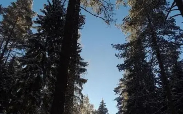 Berendeevo Tsarstvo