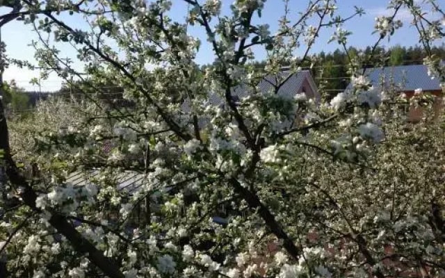 Holiday Home na Berendeevskoy