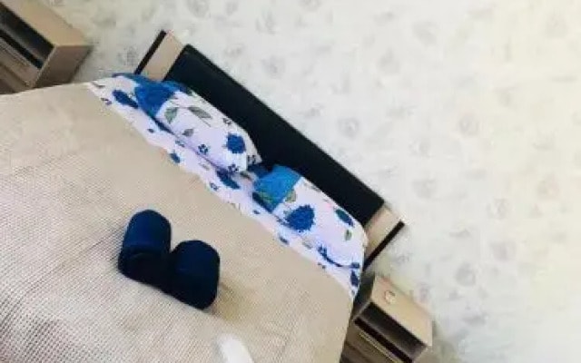 Adrada Palace Guest House