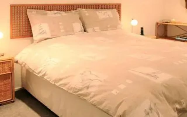 Artizana Suite