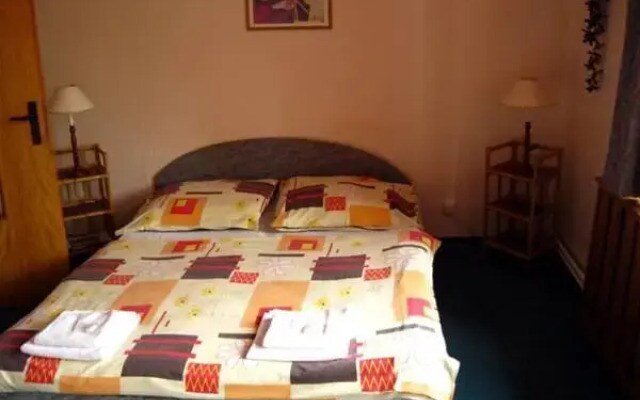 Hotel Cesky Dum