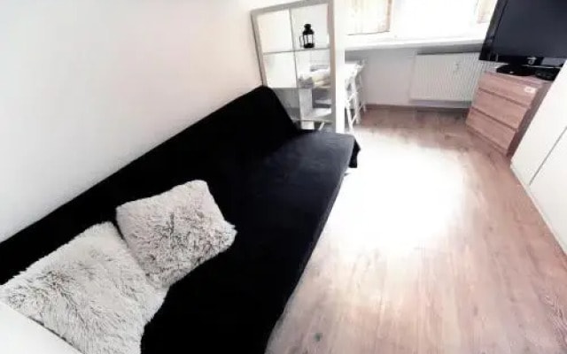 Studio Domino
