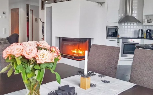 Villa ylläs 203