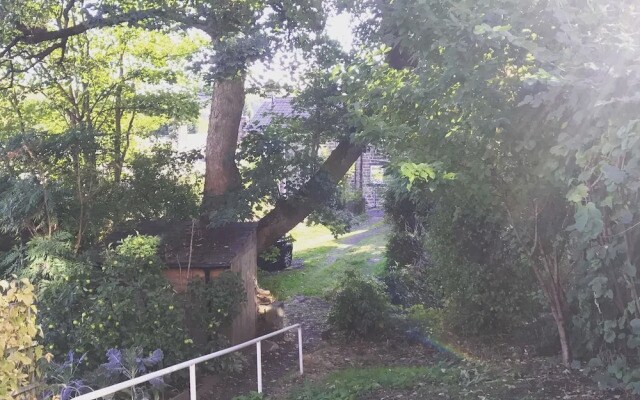 Ash Cottage
