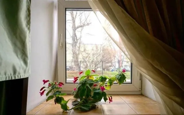 SvetLend Hostel