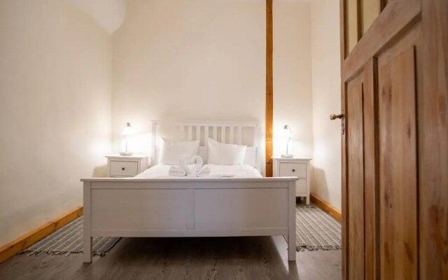 Viru Old Town Apartment