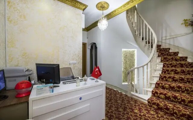 Punto Suite