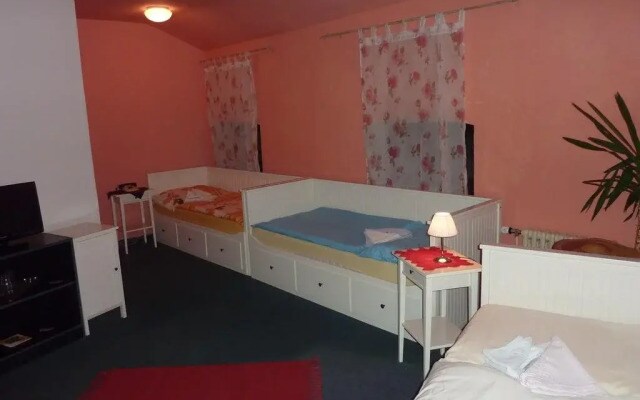 Hotel Savorsky