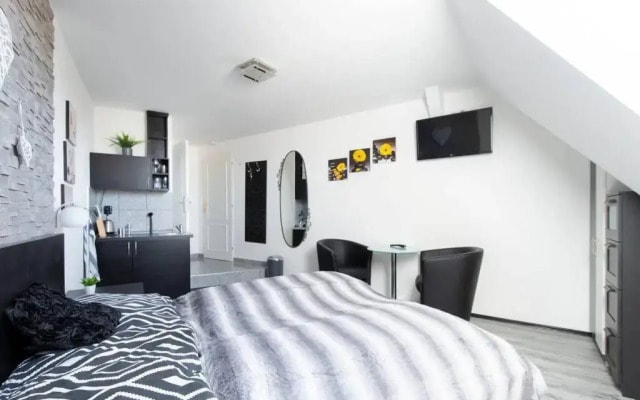 Apartment in heart of Prague