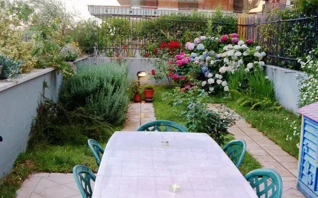 Airport Roof Garden