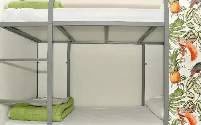 Cat's Hostel