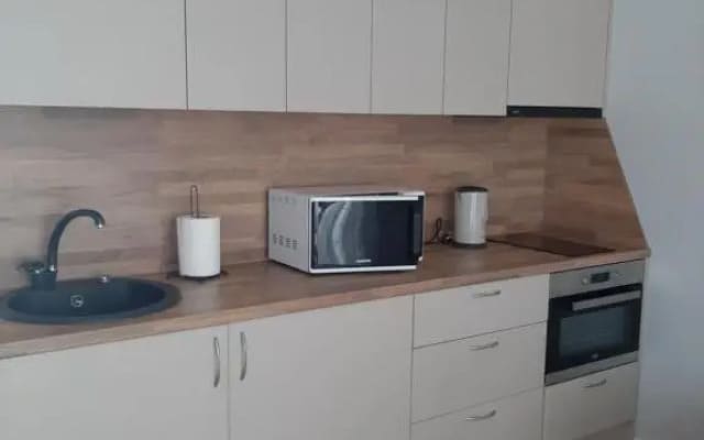 Vėžių g 26 K5-11 buto nuoma