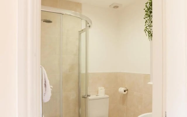 Olde Englishe Flat 10