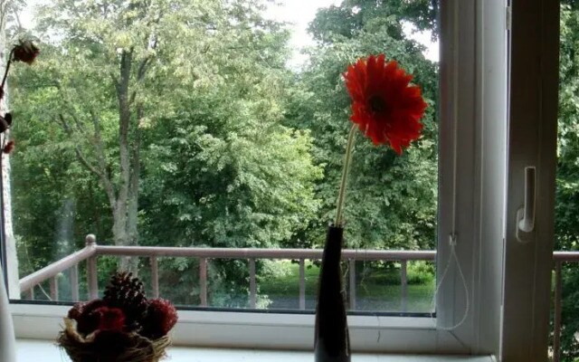 My Place