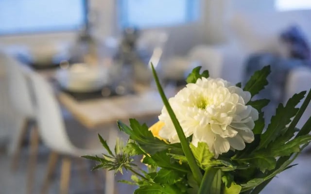 Tuomas´ luxurious suites, Ahola