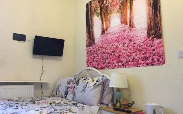 TDM Bachelot Lettings