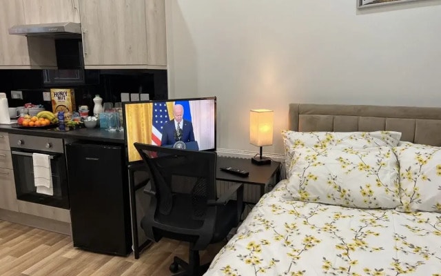 Entire Studio apartment - London