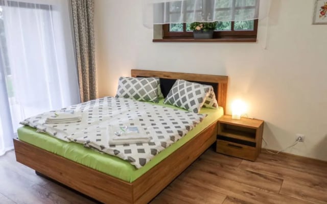 Apartment  Harrachov