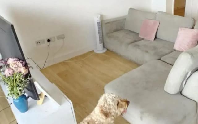 Cozy London Apartment Retreat Next to the 02