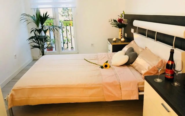Apartment in Sol