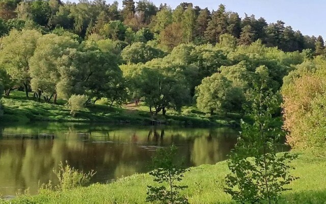 Домики на Луговом