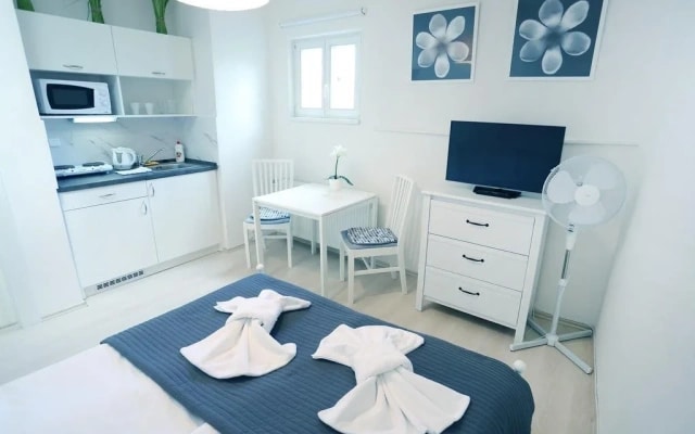 Apartments Pushkin