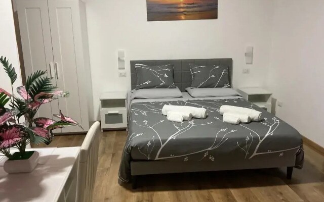 B&B Airportandgo