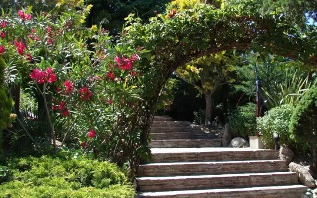 El Mirador De Rocio