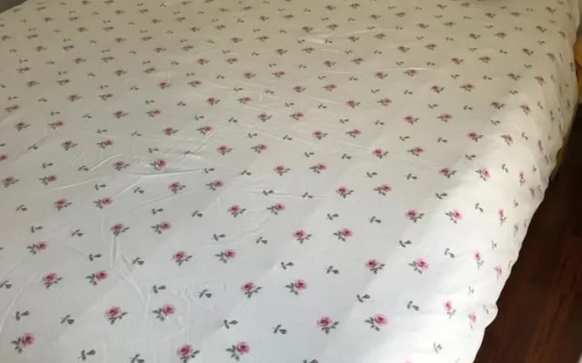 2-Bed Apartment Near Disneyland
