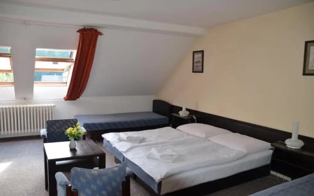 Hotel Labuť