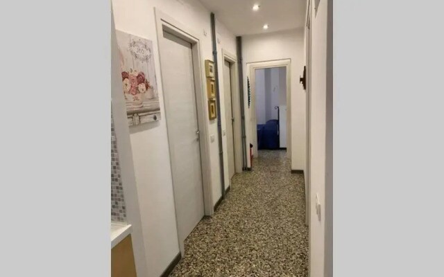 Simon's place 2