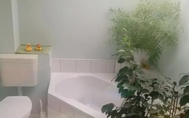 Das Haus am Fluss