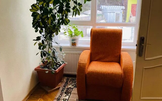 Балтийский лес