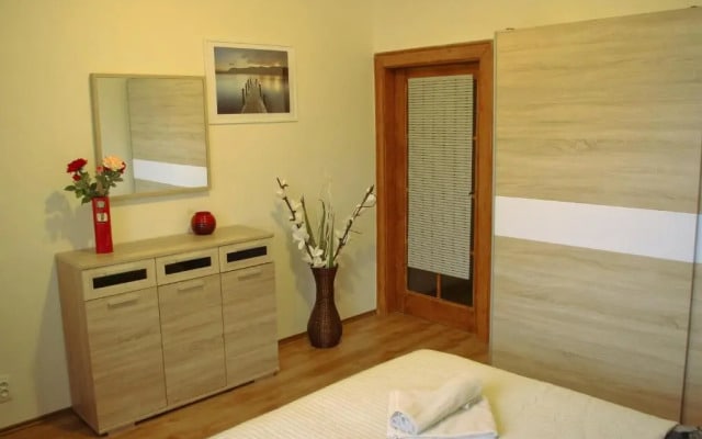 Spacious Prague View Apartment