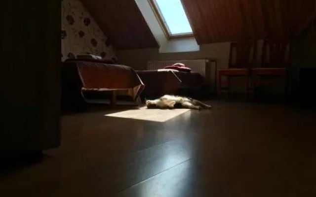 Varese Guest House
