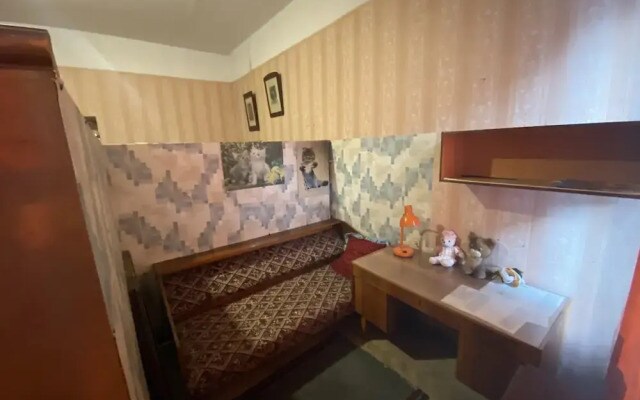 Apartment on Pestela 4