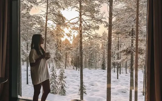 Invisible Forest Lodge