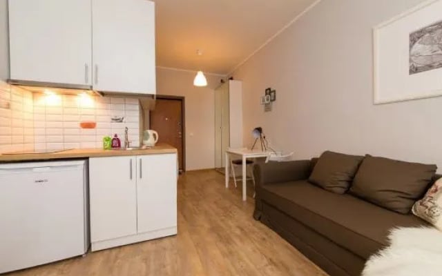 Vilnius Center Apartment