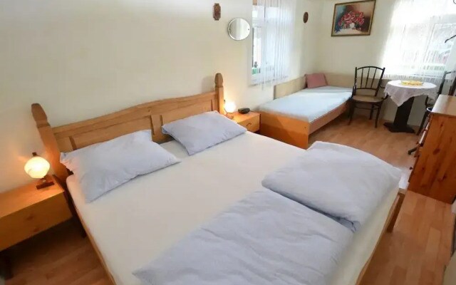 Luxury Villa near Forest in Hlavice Czech Republic