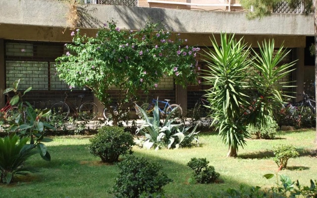 Color Holiday House