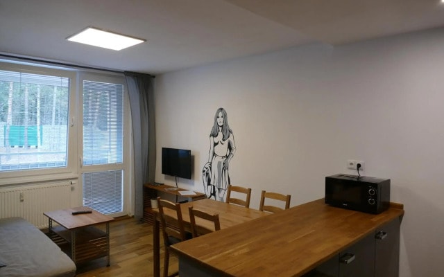 Apartment Rezidence La